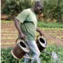 Lassané (14 ans enchaîné sous un arbre)