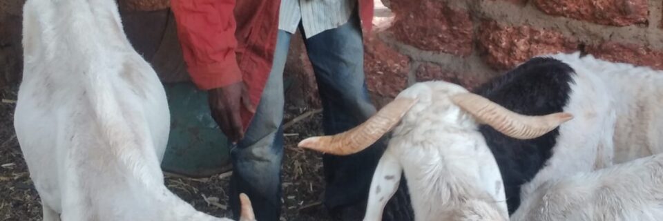 Retrouvailles — Saadou Belem retrouve sa marraine Anne