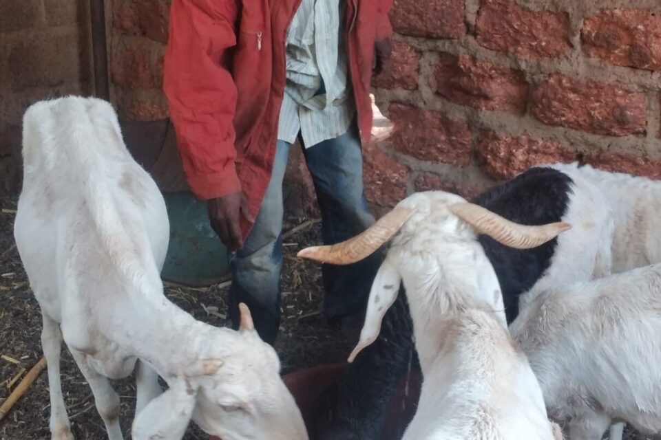 Retrouvailles — Saadou Belem retrouve sa marraine Anne
